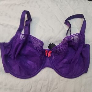 Cleo by Panache Lucy bra 34FF